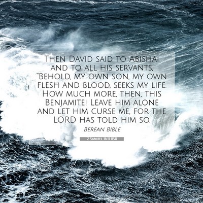 Picture 07 - 2 Samuel 16:11 BSB - Then David said to Abishai and to all his - Bible Verse Picture