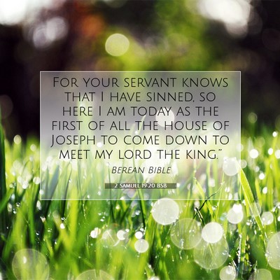 Picture 07 - 2 Samuel 19:20 BSB - For your servant knows that I have sinned, so - Bible Verse Picture
