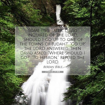 Picture 07 - 2 Samuel 2:1 BSB - Some time later, David inquired of the LORD, - Bible Verse Picture