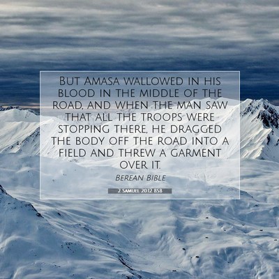 Picture 07 - 2 Samuel 20:12 BSB - But Amasa wallowed in his blood in the middle of - Bible Verse Picture