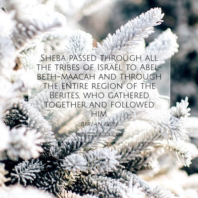 Picture 07 - 2 Samuel 20:14 BSB - Sheba passed through all the tribes of Israel to - Bible Verse Picture