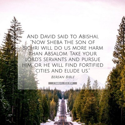Picture 07 - 2 Samuel 20:6 BSB - And David said to Abishai, “Now Sheba the son - Bible Verse Picture