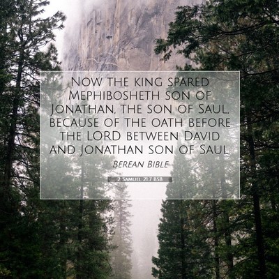 Picture 07 - 2 Samuel 21:7 BSB - Now the king spared Mephibosheth son of Jonathan, - Bible Verse Picture