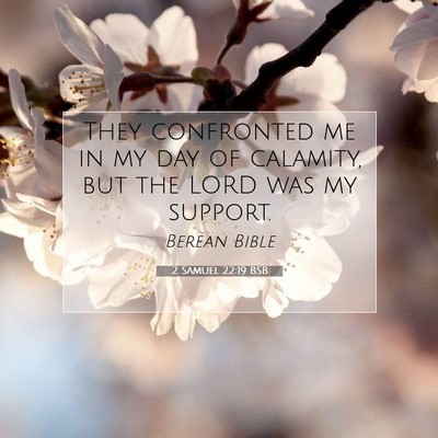 Picture 07 - 2 Samuel 22:19 BSB - They confronted me in my day of calamity, but the - Bible Verse Picture