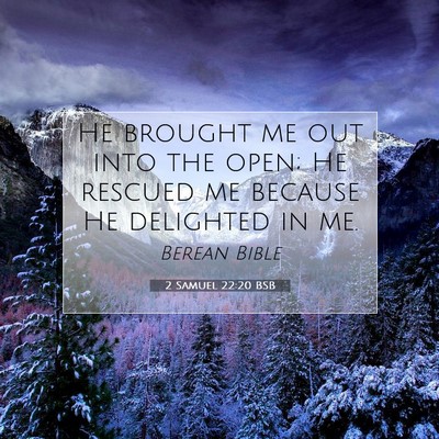 Picture 07 - 2 Samuel 22:20 BSB - He brought me out into the open; He rescued me - Bible Verse Picture