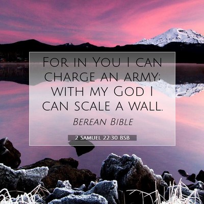 Picture 07 - 2 Samuel 22:30 BSB - For in You I can charge an army; with my God I - Bible Verse Picture