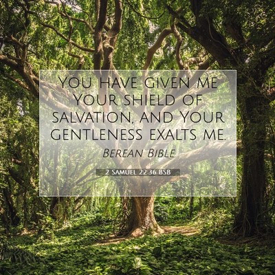 Picture 07 - 2 Samuel 22:36 BSB - You have given me Your shield of salvation, and - Bible Verse Picture