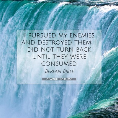Picture 07 - 2 Samuel 22:38 BSB - I pursued my enemies and destroyed them; I did - Bible Verse Picture