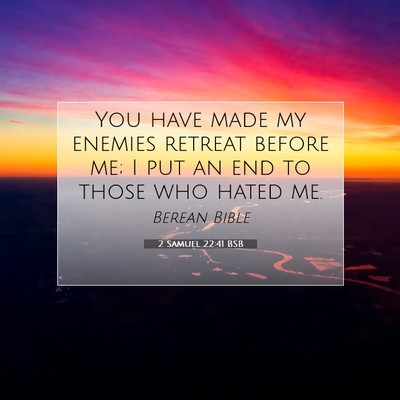 Picture 07 - 2 Samuel 22:41 BSB - You have made my enemies retreat before me; I put - Bible Verse Picture