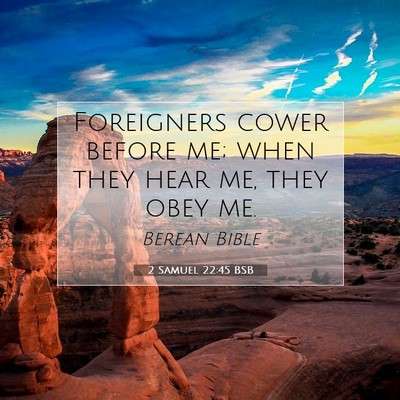 Picture 07 - 2 Samuel 22:45 BSB - Foreigners cower before me; when they hear me, - Bible Verse Picture