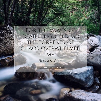 Picture 07 - 2 Samuel 22:5 BSB - For the waves of death engulfed me; the torrents - Bible Verse Picture