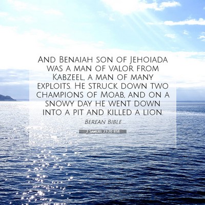 Picture 07 - 2 Samuel 23:20 BSB - And Benaiah son of Jehoiada was a man of valor - Bible Verse Picture