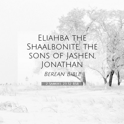 Picture 07 - 2 Samuel 23:32 BSB - Eliahba the Shaalbonite, the sons of Jashen, - Bible Verse Picture