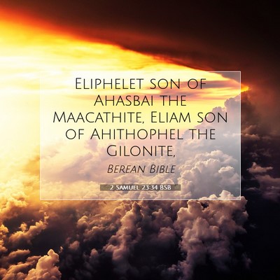 Picture 07 - 2 Samuel 23:34 BSB - Eliphelet son of Ahasbai the Maacathite, Eliam - Bible Verse Picture