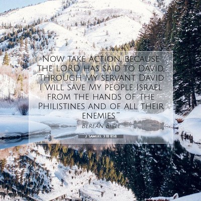 Picture 07 - 2 Samuel 3:18 BSB - Now take action, because the LORD has said to - Bible Verse Picture