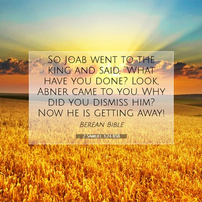 Picture 07 - 2 Samuel 3:24 BSB - So Joab went to the king and said, “What have - Bible Verse Picture