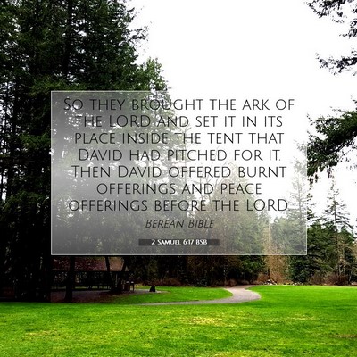 Picture 07 - 2 Samuel 6:17 BSB - So they brought the ark of the LORD and set it in - Bible Verse Picture
