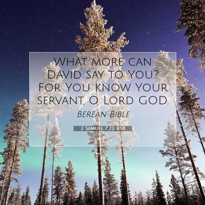 Picture 07 - 2 Samuel 7:20 BSB - What more can David say to You? For You know Your - Bible Verse Picture