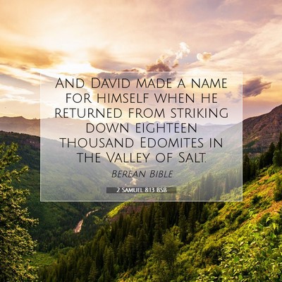 Picture 07 - 2 Samuel 8:13 BSB - And David made a name for himself when he - Bible Verse Picture