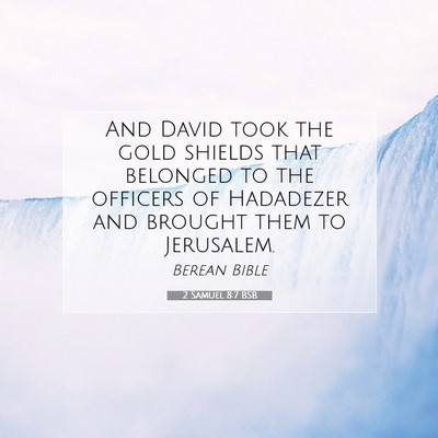 Picture 07 - 2 Samuel 8:7 BSB - And David took the gold shields that belonged to - Bible Verse Picture