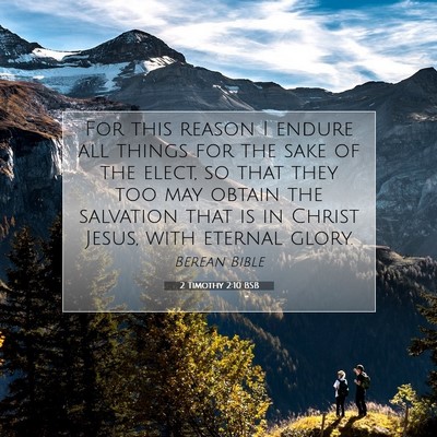 Picture 07 - 2 Timothy 2:10 BSB - For this reason I endure all things for the sake - Bible Verse Picture