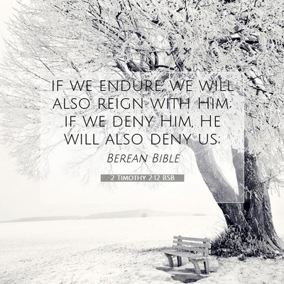 Picture 07 - 2 Timothy 2:12 BSB - if we endure, we will also reign with Him; if we - Bible Verse Picture