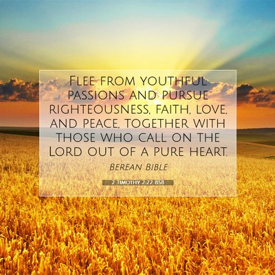 Picture 07 - 2 Timothy 2:22 BSB - Flee from youthful passions and pursue - Bible Verse Picture