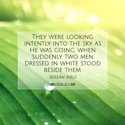 Picture 07 - Acts 1:10 BSB - They were looking intently into the sky as He was - Bible Verse Picture