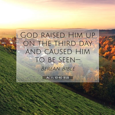 Picture 07 - Acts 10:40 BSB - God raised Him up on the third day and caused Him - Bible Verse Picture