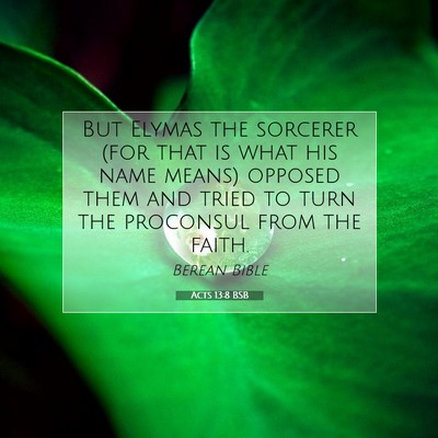 Picture 07 - Acts 13:8 BSB - But Elymas the sorcerer (for that is what his - Bible Verse Picture
