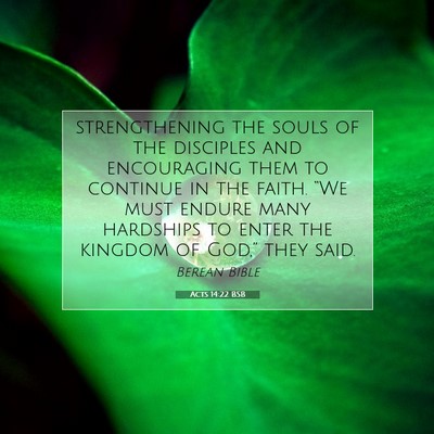 Picture 07 - Acts 14:22 BSB - strengthening the souls of the disciples and - Bible Verse Picture