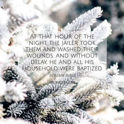 Picture 07 - Acts 16:33 BSB - At that hour of the night, the jailer took them - Bible Verse Picture