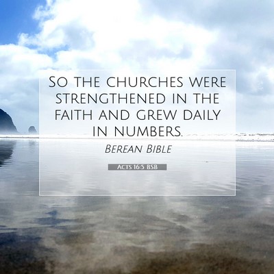 Picture 07 - Acts 16:5 BSB - So the churches were strengthened in the faith - Bible Verse Picture