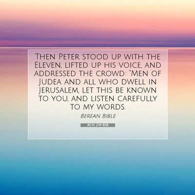 Picture 07 - Acts 2:14 BSB - Then Peter stood up with the Eleven, lifted up - Bible Verse Picture