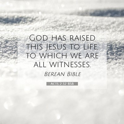 Picture 07 - Acts 2:32 BSB - God has raised this Jesus to life, to which we - Bible Verse Picture