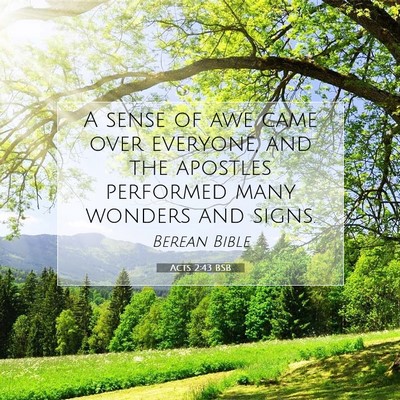 Picture 07 - Acts 2:43 BSB - A sense of awe came over everyone, and the - Bible Verse Picture