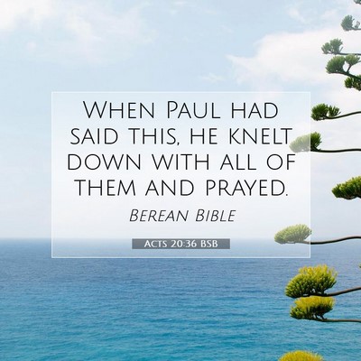 Picture 07 - Acts 20:36 BSB - When Paul had said this, he knelt down with all - Bible Verse Picture