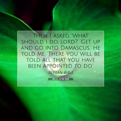 Picture 07 - Acts 22:10 BSB - Then I asked, ‘What should I do, Lord?’ - Bible Verse Picture