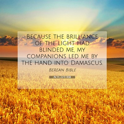 Picture 07 - Acts 22:11 BSB - Because the brilliance of the light had blinded - Bible Verse Picture