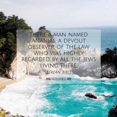 Picture 07 - Acts 22:12 BSB - There a man named Ananias, a devout observer of - Bible Verse Picture