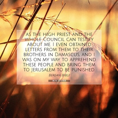 Picture 07 - Acts 22:5 BSB - as the high priest and the whole Council can - Bible Verse Picture