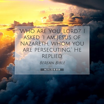Picture 07 - Acts 22:8 BSB - ‘Who are You, Lord?’ I asked. ‘I am Jesus - Bible Verse Picture