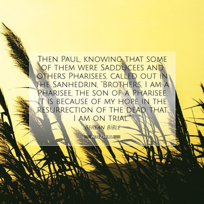 Picture 07 - Acts 23:6 BSB - Then Paul, knowing that some of them were - Bible Verse Picture