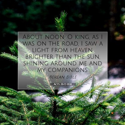 Picture 07 - Acts 26:13 BSB - About noon, O king, as I was on the road, I saw a - Bible Verse Picture