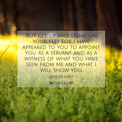 Picture 07 - Acts 26:16 BSB - ‘But get up and stand on your feet. For I have - Bible Verse Picture