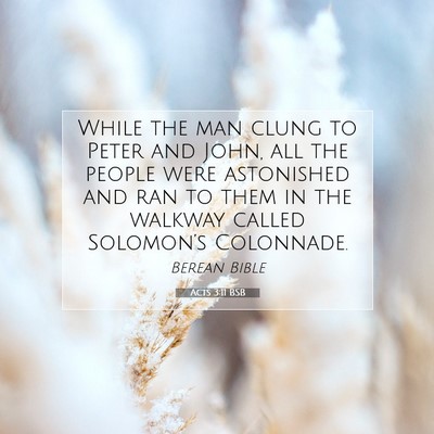 Picture 07 - Acts 3:11 BSB - While the man clung to Peter and John, all the - Bible Verse Picture