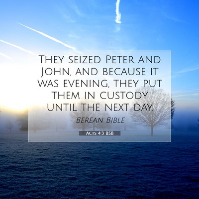 Picture 07 - Acts 4:3 BSB - They seized Peter and John, and because it was - Bible Verse Picture