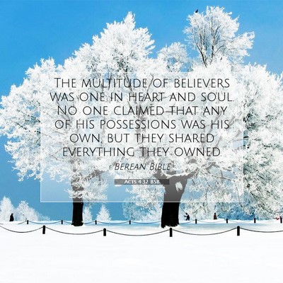 Picture 07 - Acts 4:32 BSB - The multitude of believers was one in heart and - Bible Verse Picture