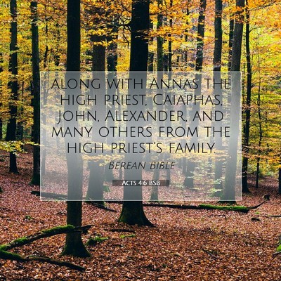 Picture 07 - Acts 4:6 BSB - along with Annas the high priest, Caiaphas, John, - Bible Verse Picture