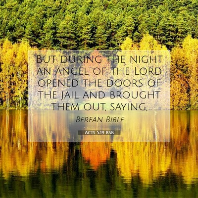 Picture 07 - Acts 5:19 BSB - But during the night an angel of the Lord opened - Bible Verse Picture